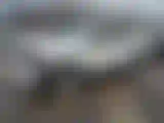 Vehicle Image- 2005 Toyota 4 Runner