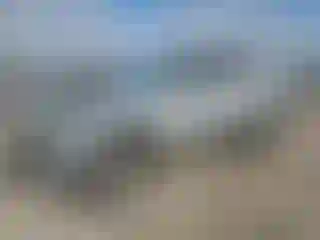 Vehicle Image- 2009 Toyota 4 Runner