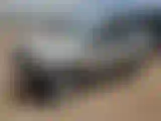 Vehicle Image- 2004 Toyota 4 Runner