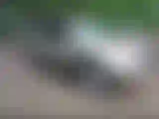 Vehicle Image- 2003 Toyota 4 Runner