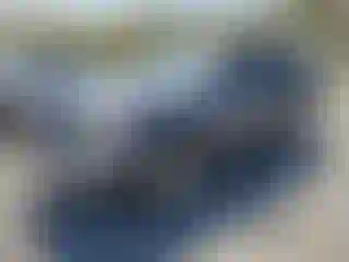 Vehicle Image- 2005 Toyota 4 Runner