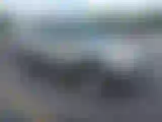 Vehicle Image- 2003 Toyota 4 Runner