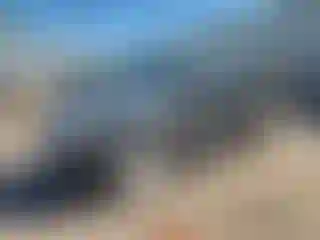 Vehicle Image- 2007 Toyota 4 Runner