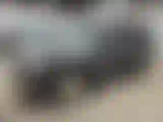 Vehicle Image- 2004 Toyota 4 Runner