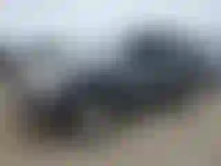 Vehicle Image- 2005 Toyota 4 Runner