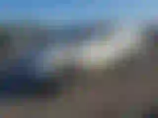 Vehicle Image- 2004 Toyota 4 Runner