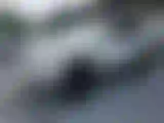 Vehicle Image- 2005 Toyota 4 Runner