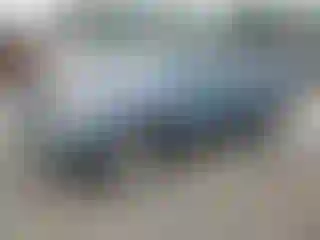 Vehicle Image- 2005 Toyota 4 Runner