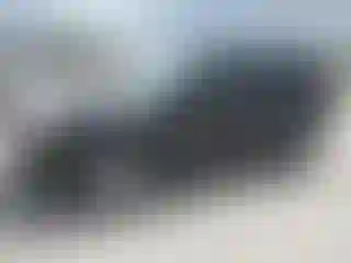 Vehicle Image- 2008 Toyota 4 Runner
