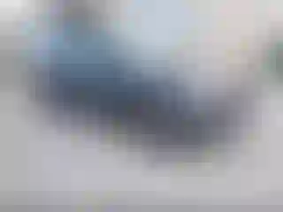 Vehicle Image- 2008 Toyota 4 Runner