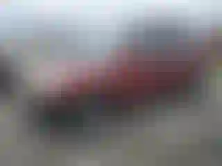 Vehicle Image- 2008 Toyota 4 Runner