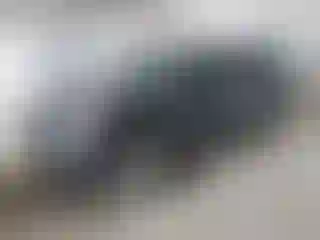 Vehicle Image- 2003 Toyota 4 Runner