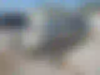 Vehicle Image- 2006 Toyota 4 Runner