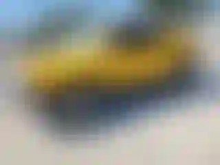 Vehicle Image- 2007 Toyota FjCruiser