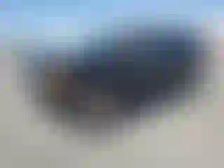 Vehicle Image- 2008 Toyota FjCruiser