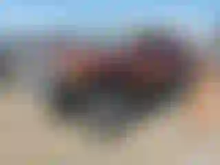 Vehicle Image- 2008 Toyota FjCruiser