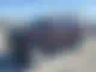 Vehicle Image- 2007 Toyota FjCruiser