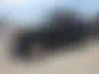 Vehicle Image- 2007 Toyota FjCruiser