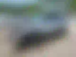 Vehicle Image- 2004 Toyota 4 Runner