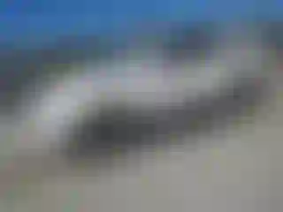 Vehicle Image- 2004 Toyota 4 Runner