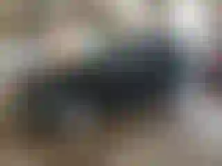 Vehicle Image- 2004 Toyota 4 Runner