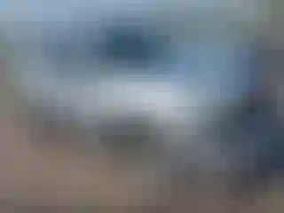 Vehicle Image- 2005 Toyota 4 Runner