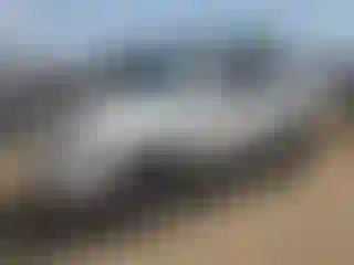 Vehicle Image- 2008 Toyota 4 Runner