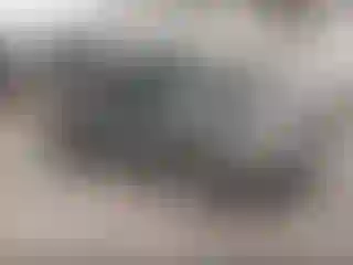 Vehicle Image- 2003 Toyota 4 Runner