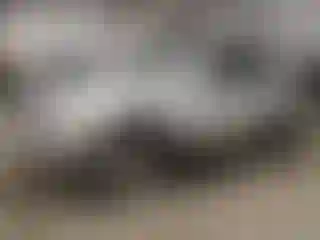 Vehicle Image- 2005 Toyota 4 Runner