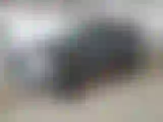 Vehicle Image- 2006 Toyota 4 Runner