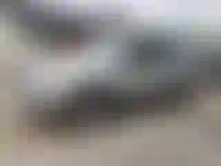 Vehicle Image- 2006 Toyota 4 Runner