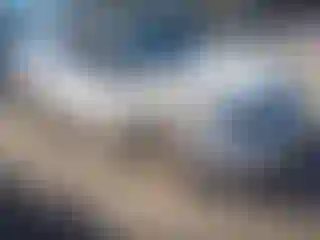 Vehicle Image- 2007 Toyota 4 Runner