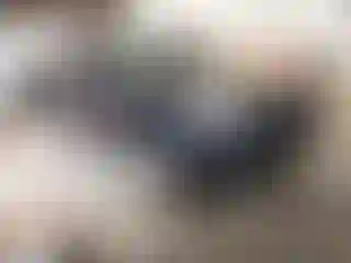 Vehicle Image- 2008 Toyota 4 Runner