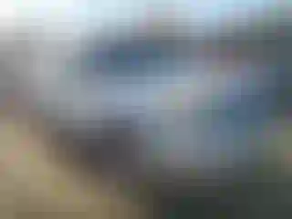 Vehicle Image- 2009 Toyota 4 Runner