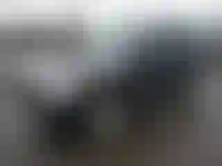 Vehicle Image- 2006 Toyota 4 Runner