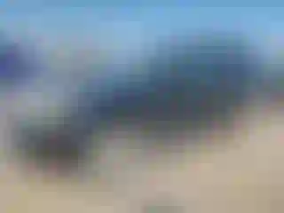 Vehicle Image- 2008 Toyota 4 Runner