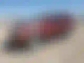 Vehicle Image- 2005 Toyota 4 Runner