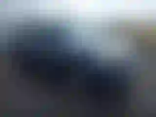 Vehicle Image- 2008 Toyota 4 Runner