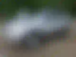 Vehicle Image- 2004 Toyota 4 Runner