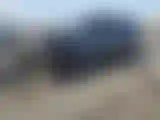 Vehicle Image- 2006 Toyota 4 Runner