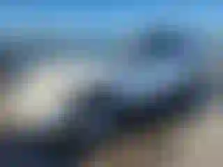 Vehicle Image- 2007 Toyota 4 Runner