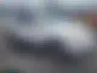 Vehicle Image- 2004 Toyota 4 Runner