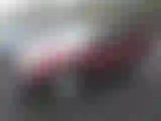 Vehicle Image- 2005 Toyota 4 Runner