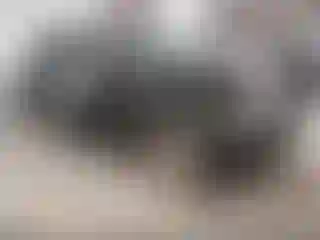 Vehicle Image- 2006 Toyota 4 Runner