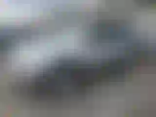 Vehicle Image- 2004 Toyota 4 Runner