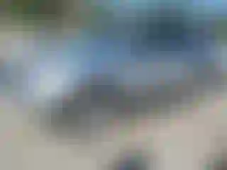 Vehicle Image- 2004 Toyota 4 Runner