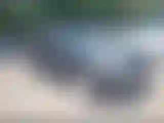 Vehicle Image- 2003 Toyota 4 Runner