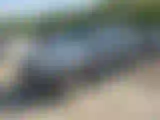 Vehicle Image- 2008 Toyota 4 Runner