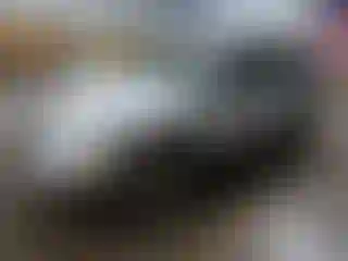 Vehicle Image- 2004 Toyota 4 Runner