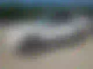 Vehicle Image- 2004 Toyota 4 Runner